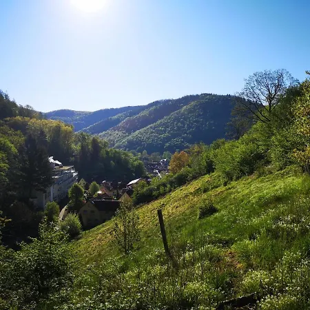 Apartament Sonnige 60m² Fuer 5 Personen Bad Lauterberg