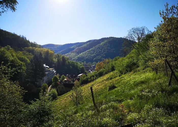 Daire Sonnige 60m² Fuer 5 Personen Bad Lauterberg
